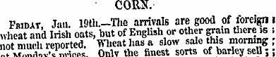 CORN. Fmdat Jan. 19th.—Tlie arrivals are...