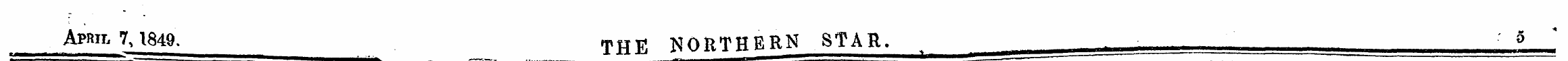 April 7,1849. THE NORTHERN STAR. _^__ ^_...