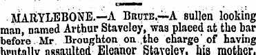 MARYLEBONE. —A Brute.—A sullen looking m...