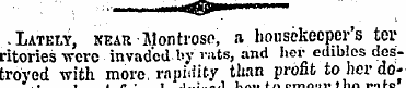 - Latkly, near Montrose, a housekeepers ...