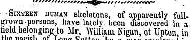 ¦ ¦ Sixibsn human skeletons, of apparent...