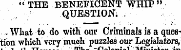 " THE BENEFICENT WHIP » QUESTION. ..What...