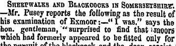 Sheepwalks and Blackcocks in Sombbsetshi...