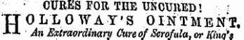 • CURES FOR THE USCUllED' - HOLLOWAY'S OINTMENT, An Extraordinary Cure of Scrofula, or Kino's