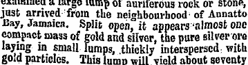 a rge lump auriferous rock or stone, jus...