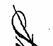 V, l^