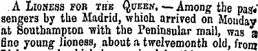 A Lioness for the Queen, — Among the pas...