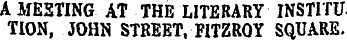 A MEETING AT THE LITERARY INSTITU TION, ...