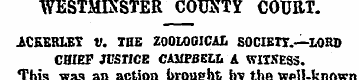 WESTMINSTER COUNTY COURT. ACKERLBT V. TH...