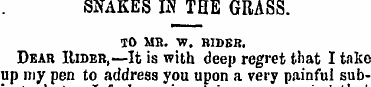 SNAKES m THE GRASS. TO MR. W. RIDER. Dea...