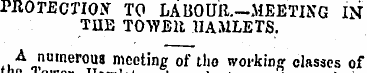 PROTECTION TO LABOUR—MEETING IN THE TOWE...