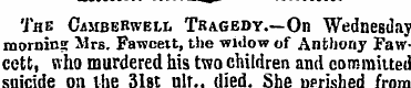 The Cambekwell Tragedy. —On Wednesday mo...