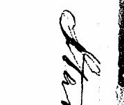 fr J 3 I -;>v- 1 - * ] f\ \ i^l