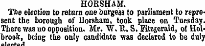 HORSHAM. Tbe election to return one burg...