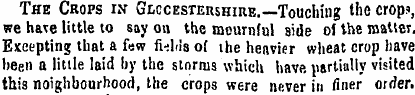 The Crops in Gmcesteushire.—Touching the...
