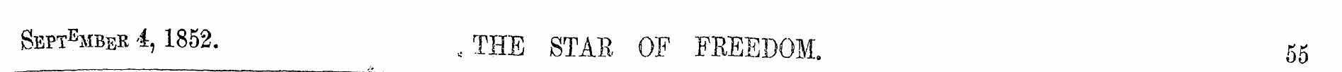 Sbpt B mbsb 4,1852. , THE STAB OF FREEDO...