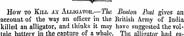 ¦ ¦--—-«« r» How to Kill ax Alligator—Th...