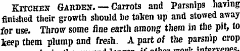 KrrCHEX Garden. — Carrots and Parsnips h...