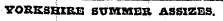 YORKSHIRE SUMMER ASSIZES.