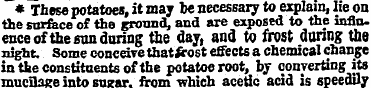 * These potatoes, it may be necessary to...