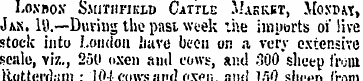 Lo.vBo.v Smitiifield Cattle Masuet, Moso...