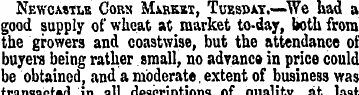 Newcastle Corn Markk, Toesbxt.*—We had a...