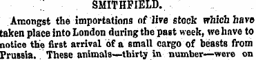 SMITHFIELD. Amongst the importations of ...