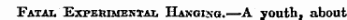 Fatal Experimental Hanging.—A youth, about