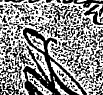 *v V"Y» i. a* WfelA >§ ^" M **. v , - ¦ ...