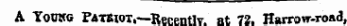A Youkg PatSiot.— Recentlv. at 73. Harrow-road,
