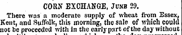 CORN EXCHANGE, J"nb 29. There was a mode...