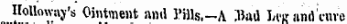 Holloway's Ointment and I'ills.-A "Bad Leg and ' cnre