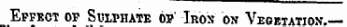 Effect of Sulphate of' Iros on Vegetation. —