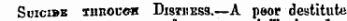 Scicibk ninocGH Distisess.—A peer destitute