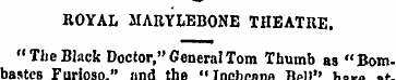 ROYAL MARYLEBONE THEATRE. "The Black Doc...