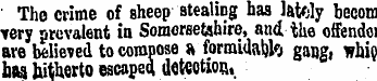The crime of sheep stealing has lately b...