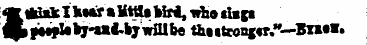 »«*kI* M«»MttU bird, who shsgt ,l»ief b'...