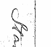 r-( j ¦ ¦-/ ;; i - \ . -' h i \ . (\ -4 ...