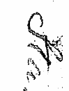 ' ^> - P \f* • T*A ^ ' -n H-.¦r* 1 %. • ...