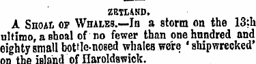 ZBTLANO. A SnoAL of Whalbs. — In a storm...