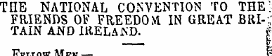 THE NATIONAL CONVENTION TO THE; FRIENDS ...