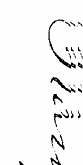 X /""Nvs . V •; r-t* IN t