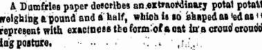 A Dumfries paper describes an .extraordi...