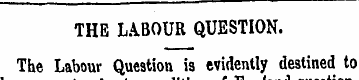 THE LABOUR QUESTION. The Labour Question...