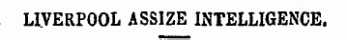 LIVERPOOL ASSIZE INTELLIGENCE.