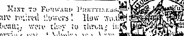 !*3 j^$S< jL 7>i Km to Fo'iWAUi. PnKTTiM...