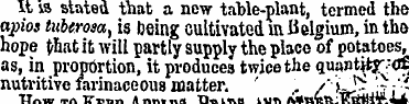 It is stated that a new table-pl ant , t...