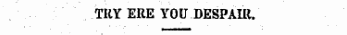 TUY ERE YOU DESPAIR.