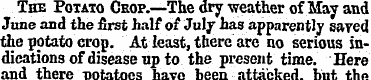 The Potato Chop.—The dry weather of May ...