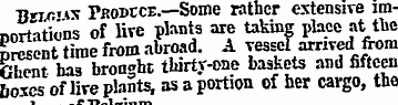 " Bsi^'ix Pbodece.—Some rather extensive...